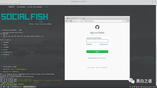 2024版最新最佳黑客工具大全 非常詳細 零基礎入門到精通,收藏這一篇就夠了